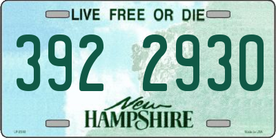 NH license plate 3922930