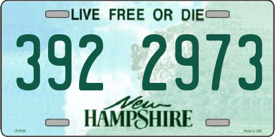 NH license plate 3922973