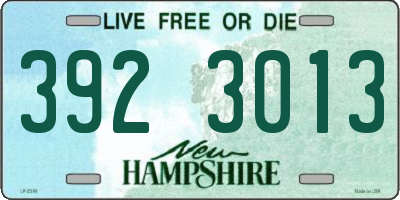 NH license plate 3923013