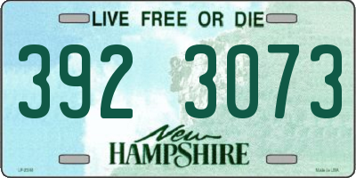 NH license plate 3923073