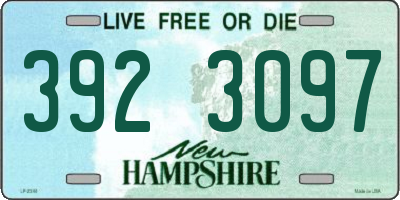 NH license plate 3923097