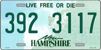 NH license plate 3923117