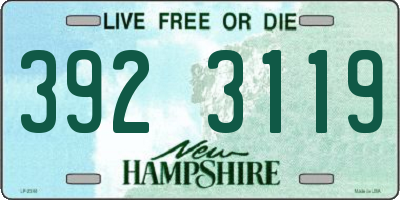 NH license plate 3923119