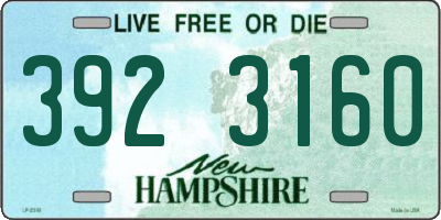 NH license plate 3923160