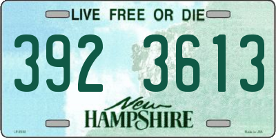 NH license plate 3923613