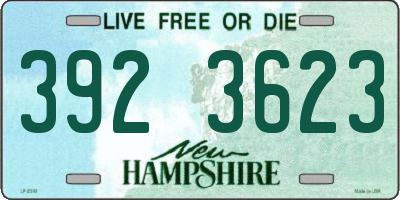 NH license plate 3923623