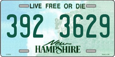 NH license plate 3923629