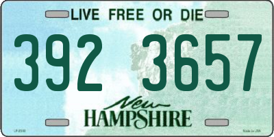 NH license plate 3923657