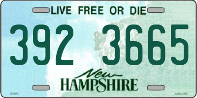 NH license plate 3923665