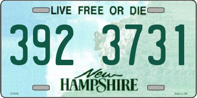NH license plate 3923731