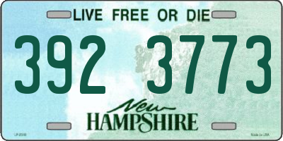 NH license plate 3923773