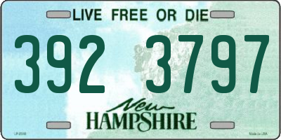 NH license plate 3923797