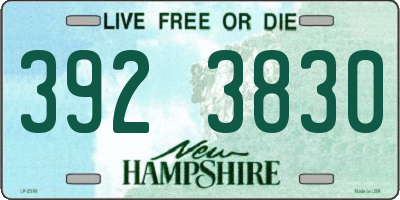NH license plate 3923830