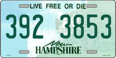 NH license plate 3923853