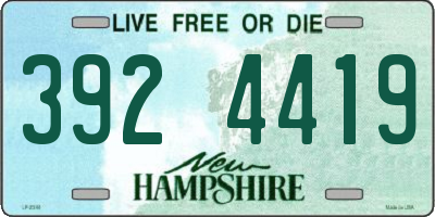 NH license plate 3924419