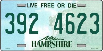 NH license plate 3924623
