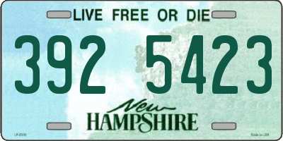 NH license plate 3925423