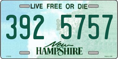 NH license plate 3925757