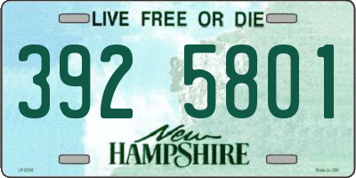 NH license plate 3925801