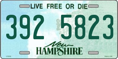 NH license plate 3925823
