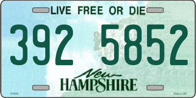 NH license plate 3925852