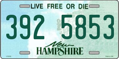 NH license plate 3925853