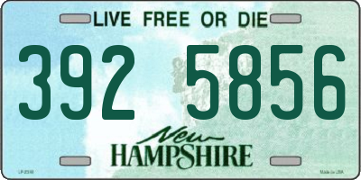 NH license plate 3925856