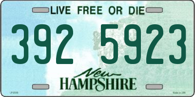 NH license plate 3925923