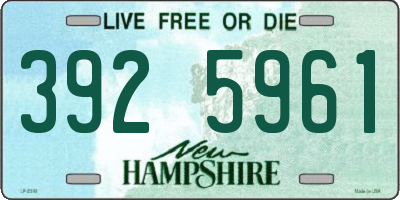 NH license plate 3925961