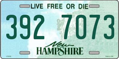 NH license plate 3927073