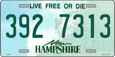 NH license plate 3927313