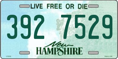 NH license plate 3927529