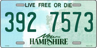NH license plate 3927573