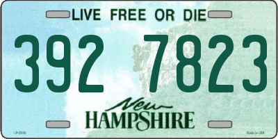 NH license plate 3927823