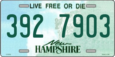 NH license plate 3927903