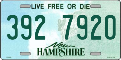 NH license plate 3927920