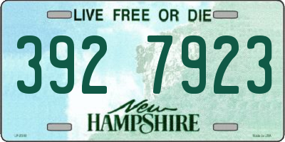 NH license plate 3927923