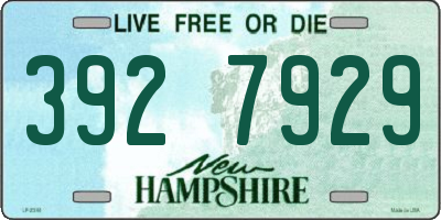 NH license plate 3927929