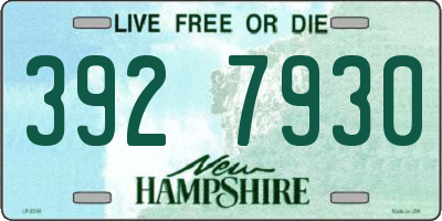 NH license plate 3927930