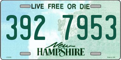 NH license plate 3927953