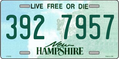 NH license plate 3927957