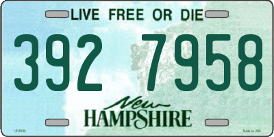 NH license plate 3927958