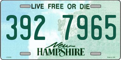 NH license plate 3927965
