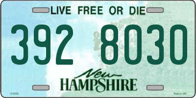 NH license plate 3928030