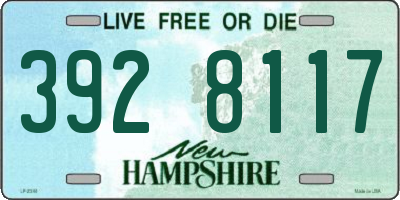 NH license plate 3928117