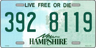 NH license plate 3928119