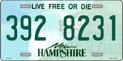 NH license plate 3928231