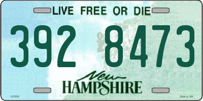 NH license plate 3928473