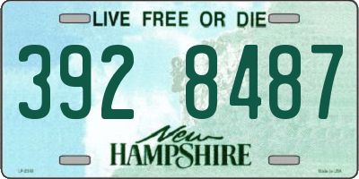 NH license plate 3928487