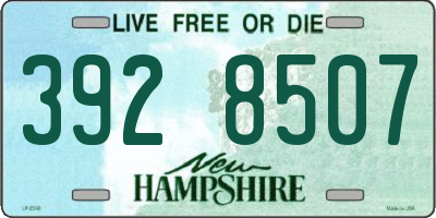 NH license plate 3928507